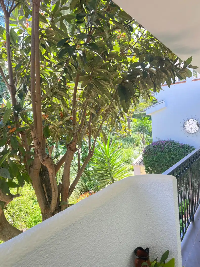 Vista exterior de Estudi en venda en Mijas amb Piscina comunitària
