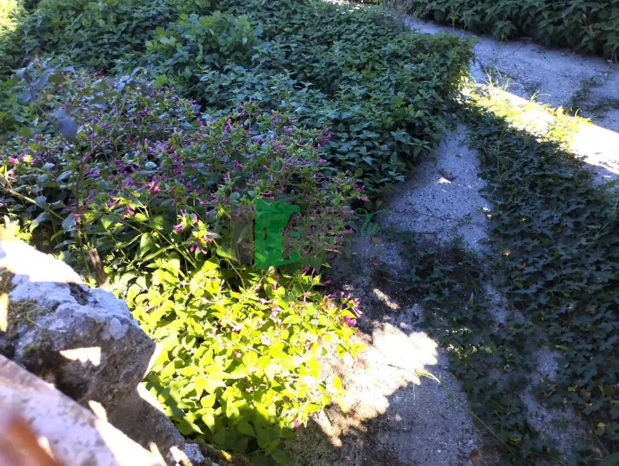 Maison avec jardin à vendre à Esgos, imagen 48