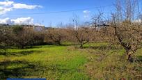 Finca rústica en venda en Alhaurín El Grande