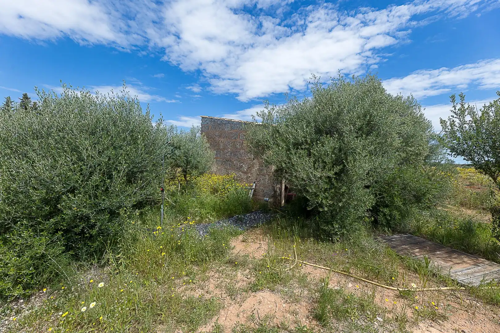 Terreny rústic en venda a Santa María del Camí, imagen 2