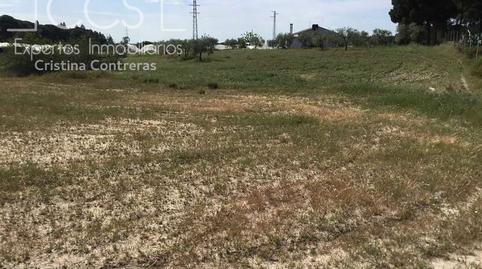 Foto 5 de Finca rústica en venda a Almonte ciudad, Almonte