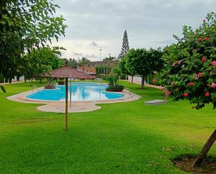 Piscina de Planta baixa de lloguer en Alicante / Alacant amb Aire condicionat, Calefacció i Piscina comunitària