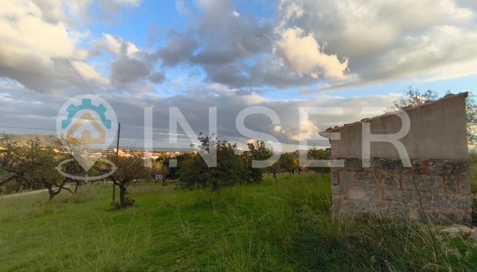 Foto 1 de Casa o chalet en venta en Poligono 9 Parcela 78, Son Amonda - Reis Catòlics, Illes Balears