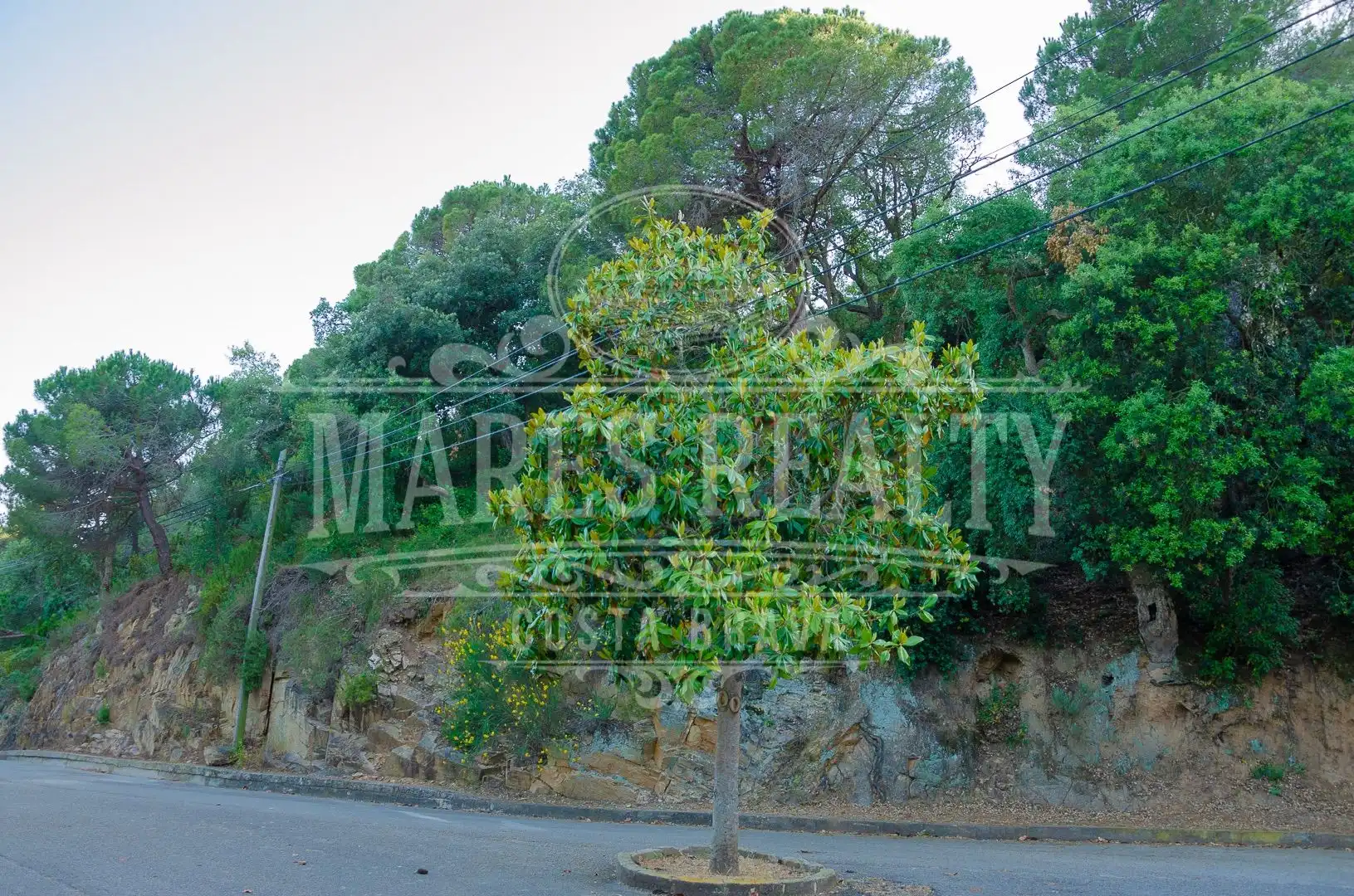 Vista exterior de Residencial en venta en Tossa de Mar
