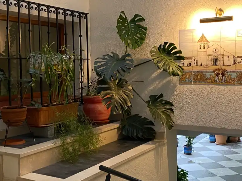 Wohnung mit Garten zur Miete in Santa Lucía 21, imagen 11