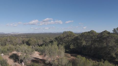 Foto 5 de Casa o chalet en venta en Costitx, Illes Balears