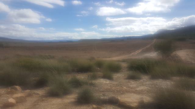 Terreno en Venta en El Bonillo
