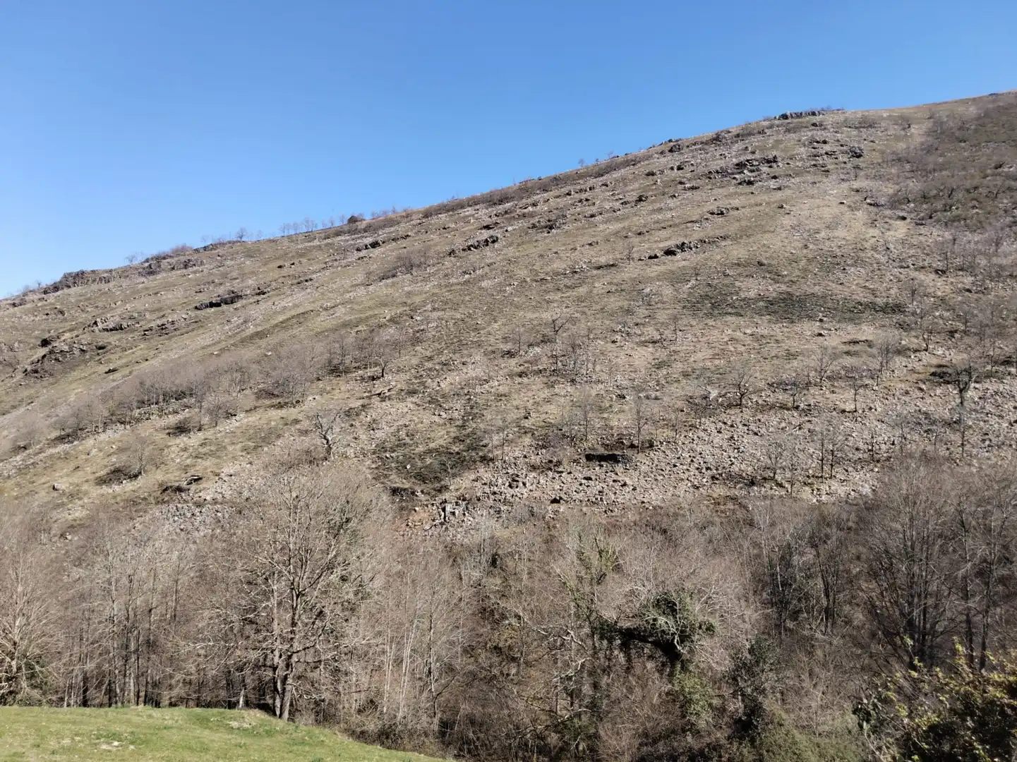 Commercial properties for sale in Peñamellera Baja