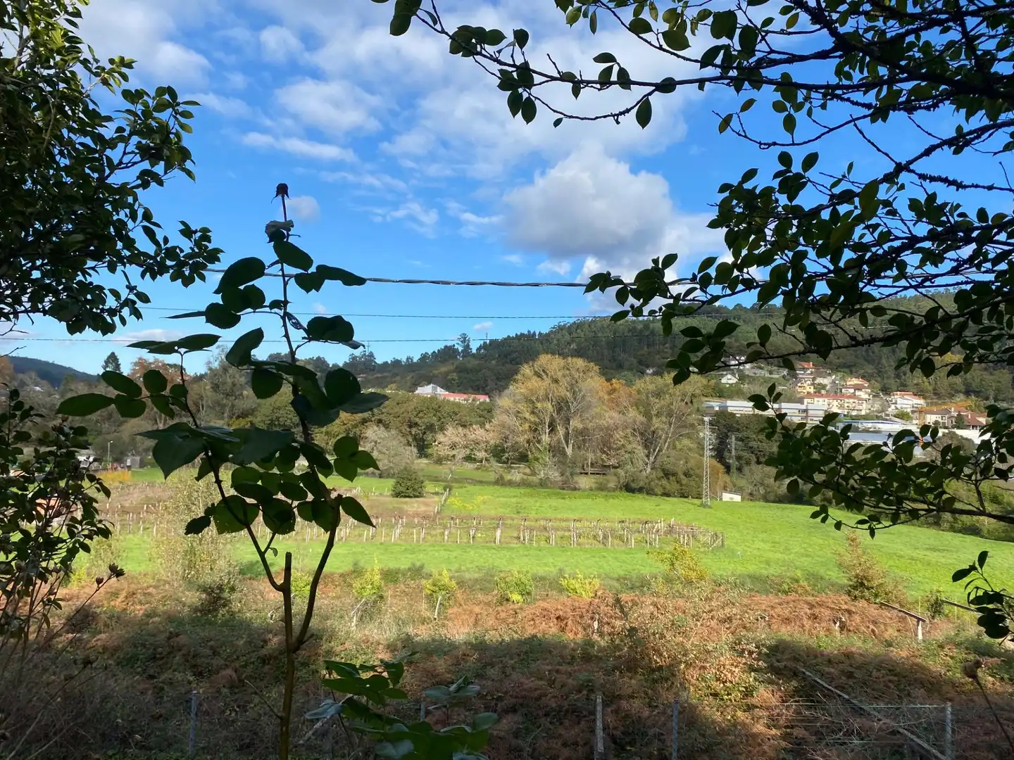 Vista exterior de Casa o chalet en venta en Caldas de Reis