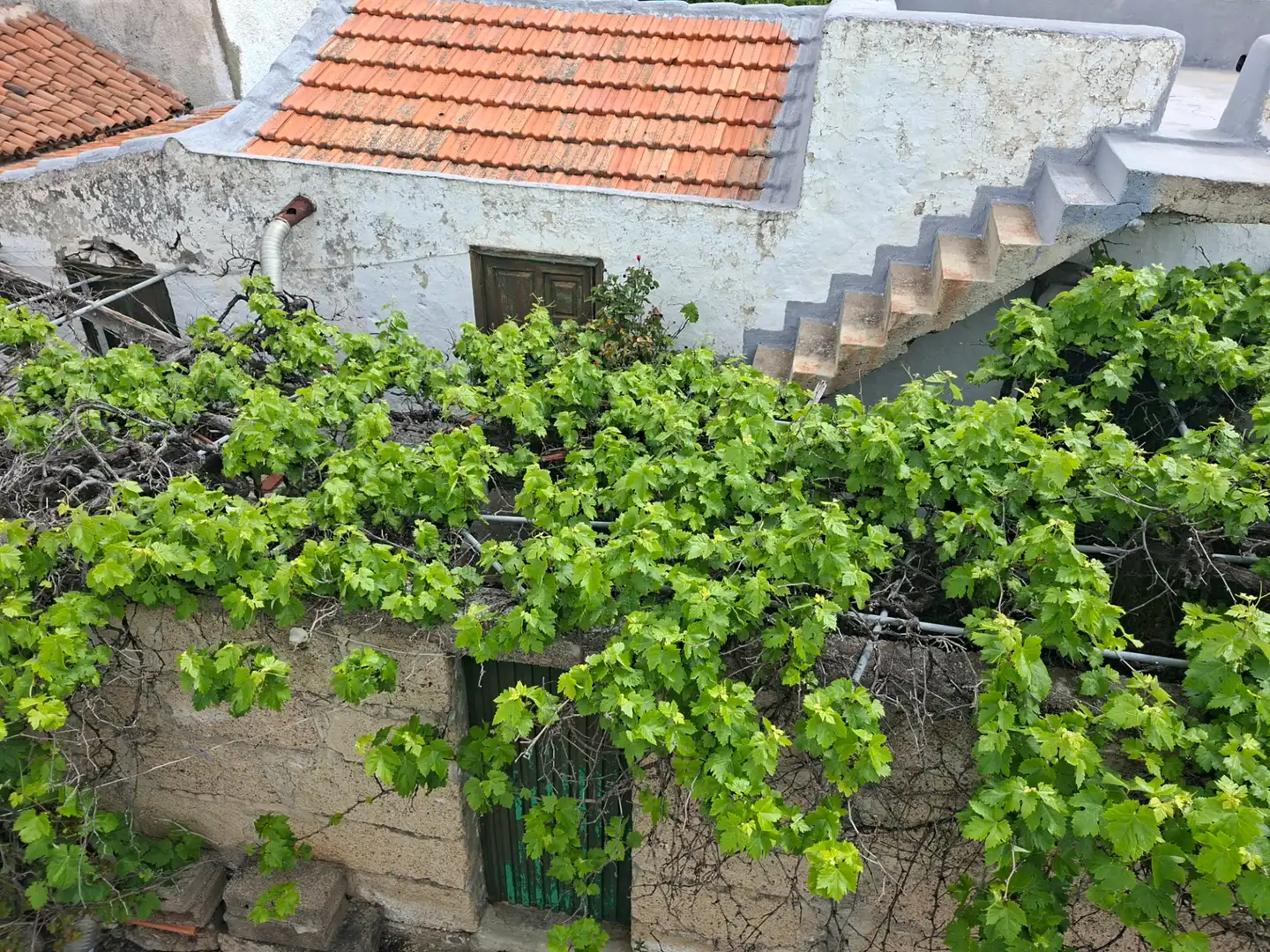 Terrasse von Country house zum Verkauf in Santiago del Teide mit Privatgarten