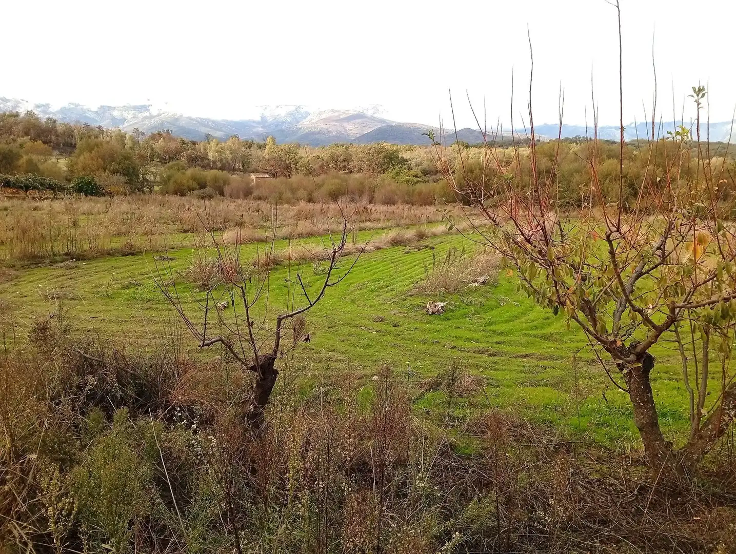 Terreni e lotti in vendita a Villanueva de la Vera, imagen 14