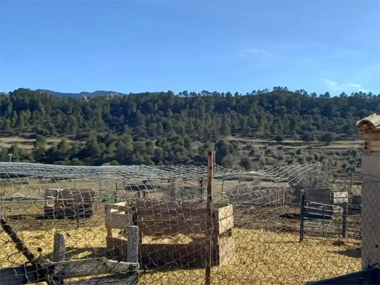 Nau industrial en venda en Horta de Sant Joan