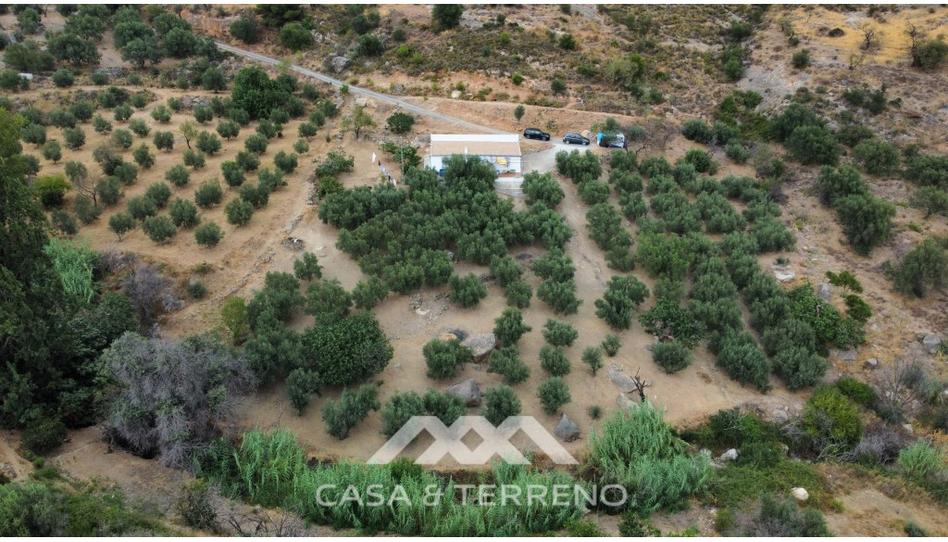 Foto 1 de Finca rústica en venda a N/a, Alcaucín, Málaga