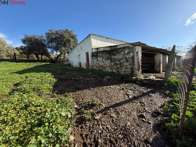 Finca rústica en Venta en  EL PEDROSO, 0 en El Pedroso