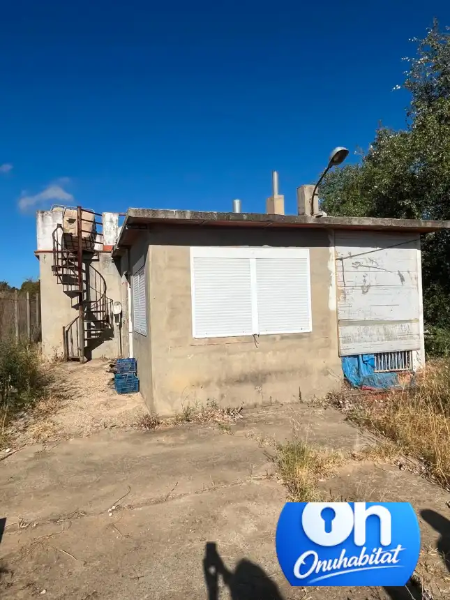 Vista exterior de Casa o chalet en venta en Moguer con Jardín privado y Amueblado