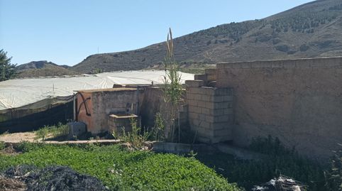 SE VENDE CORTIJO CON TERRENO, imagen 3