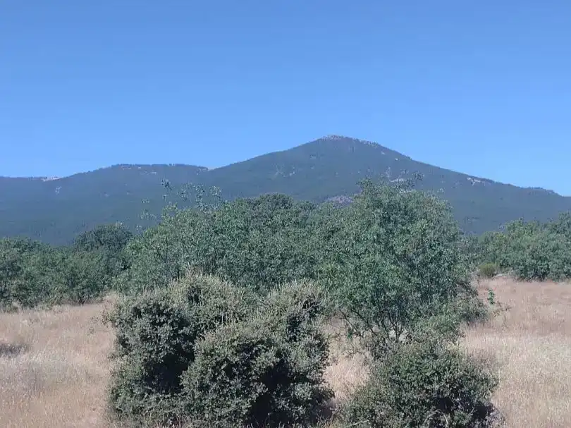 Finca rústica en venda en El Tiemblo 