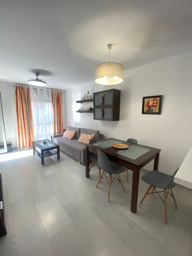 Living room of Apartments for rent in Málaga  with Air Conditioner, Terrace and Furnished