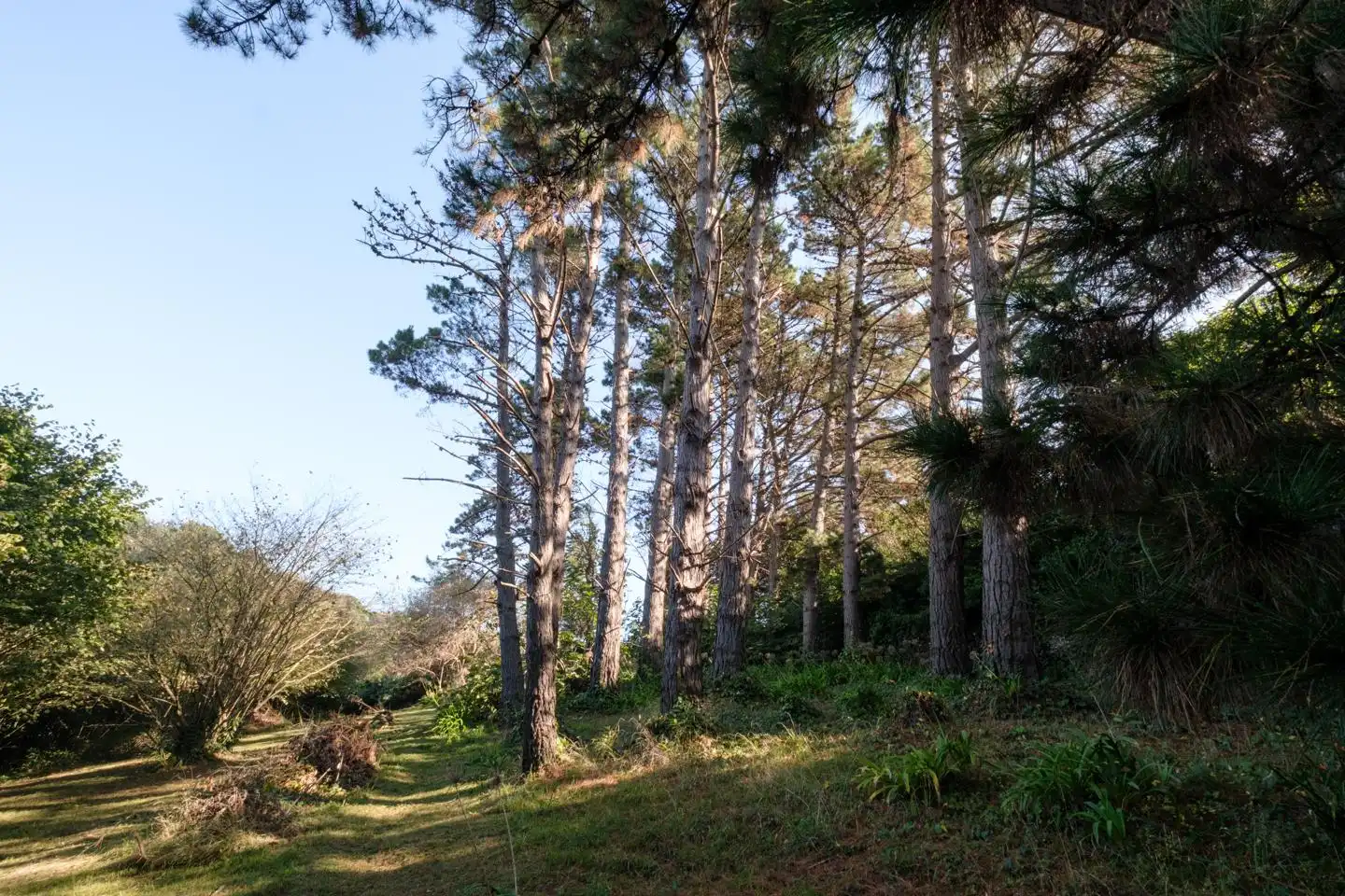 Casa o xalet en venda en Gijón  amb Jardí privat i Terrassa