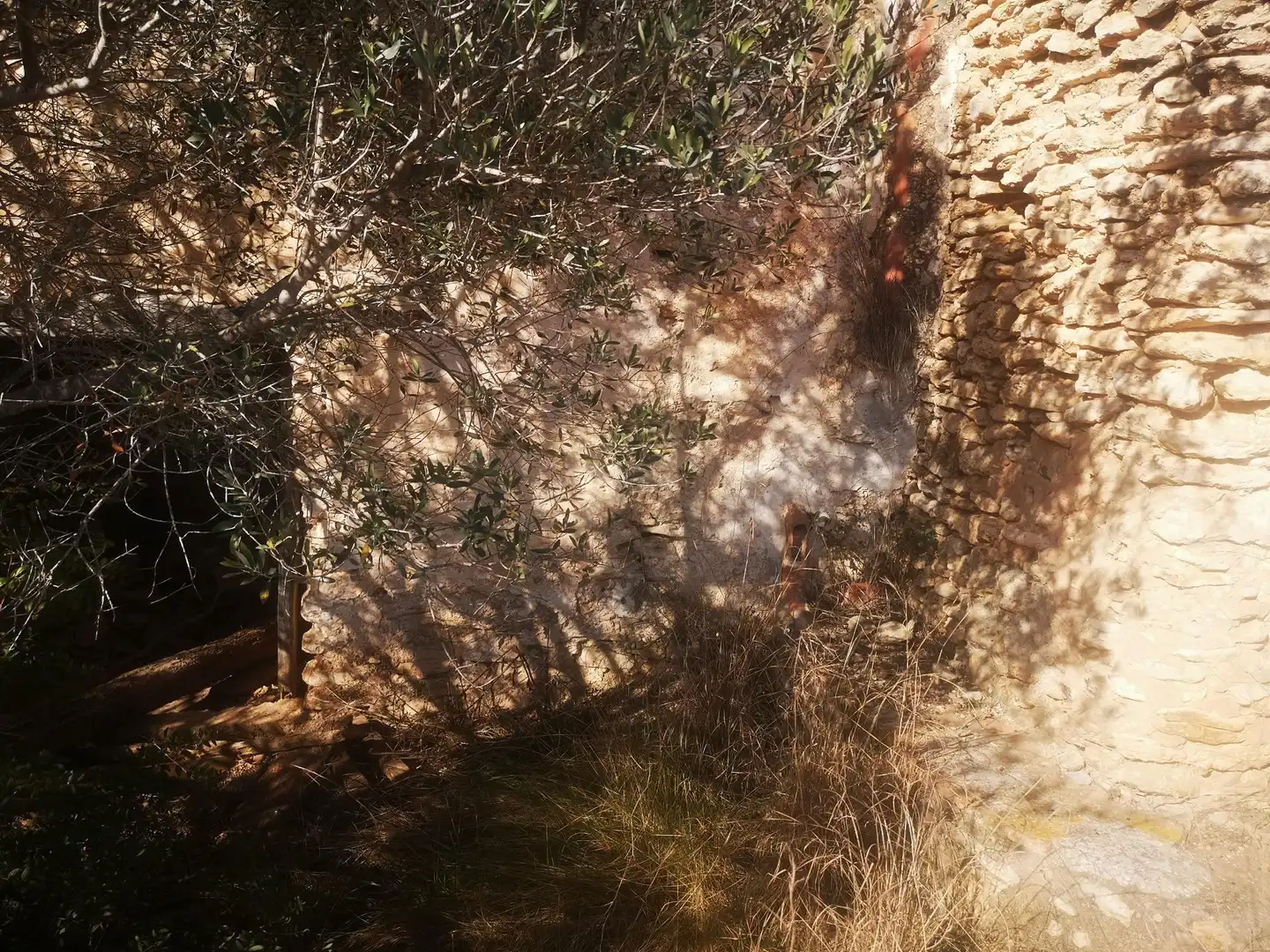 Terreno rustico in vendita a Traiguera, imagen 6