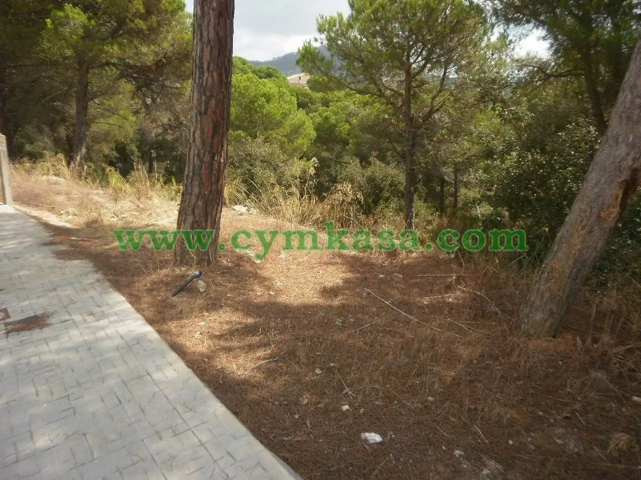 Terreno residencial en venta en Calle PEDRAFORCA 13, imagen 2