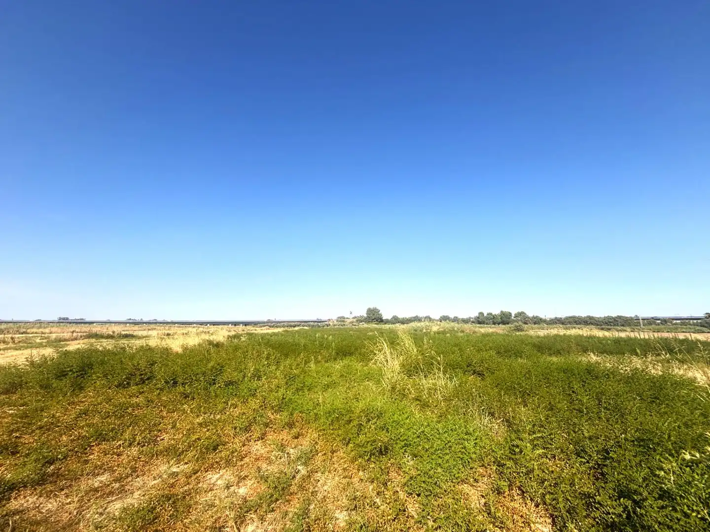Terreno en venta en Santiponce