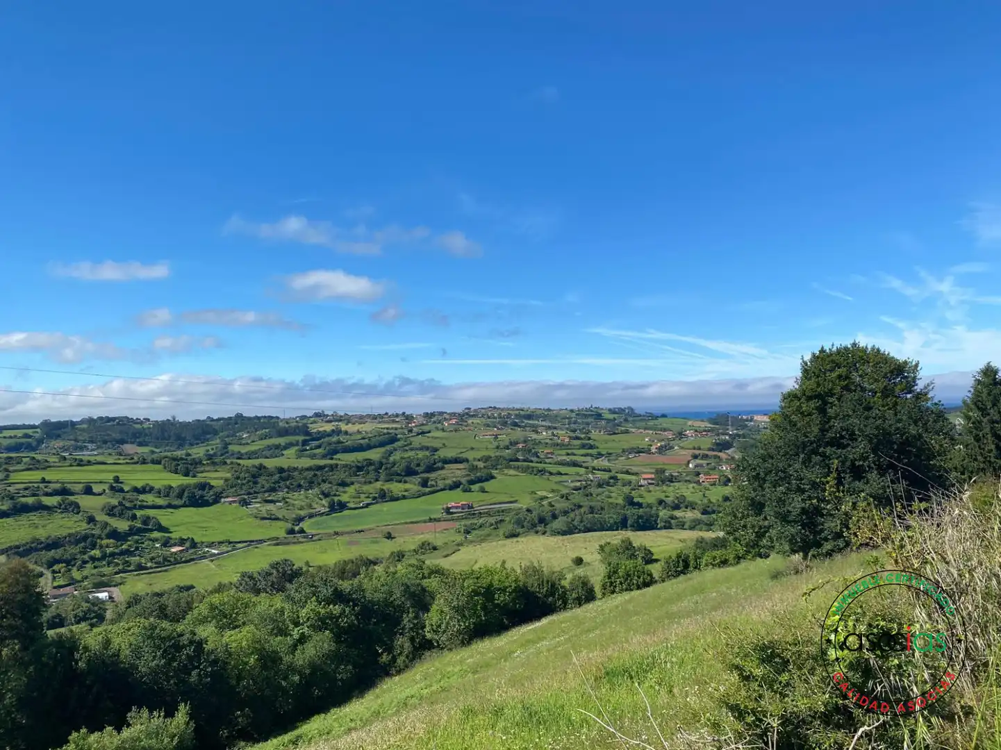 Vista exterior de Casa o chalet en venta en Carreño con Calefacción y Jardín privado