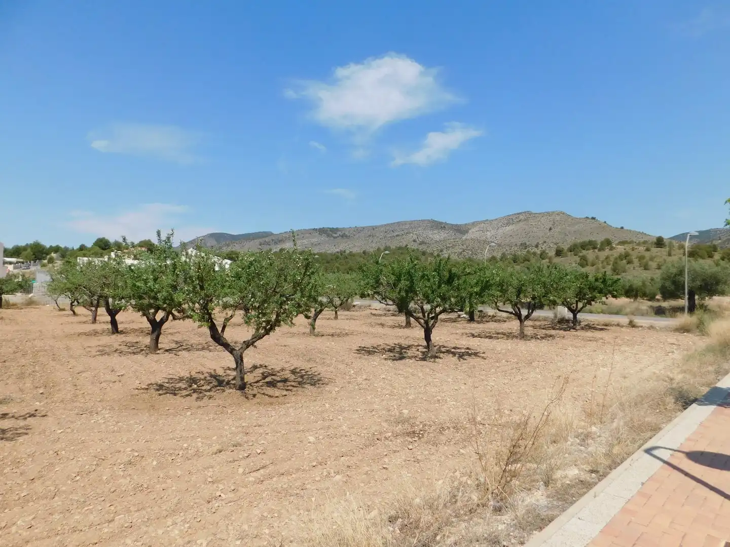 Residential land for sale in Carretera Carretera Llano de Béjar 5, imagen 18