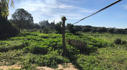 Magnifica finca rustica con vivienda en zona muy tranquila., Bild 2