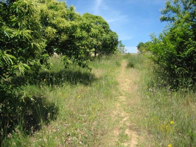 Terreno residencial en Venta en Cabañas Raras