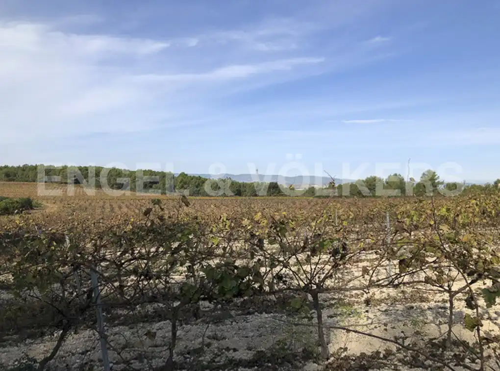 Terreny residencial en venda a Avinyonet del Penedès, imagen 20