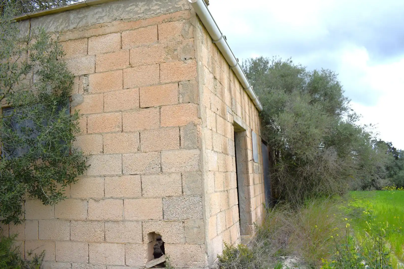 Casa rústica en venta en Muro, imagen 12