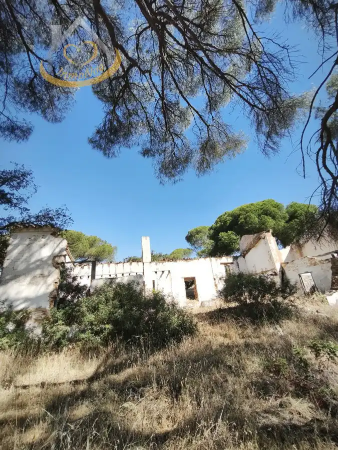 Terreni e lotti in vendita a Moguer, imagen 10