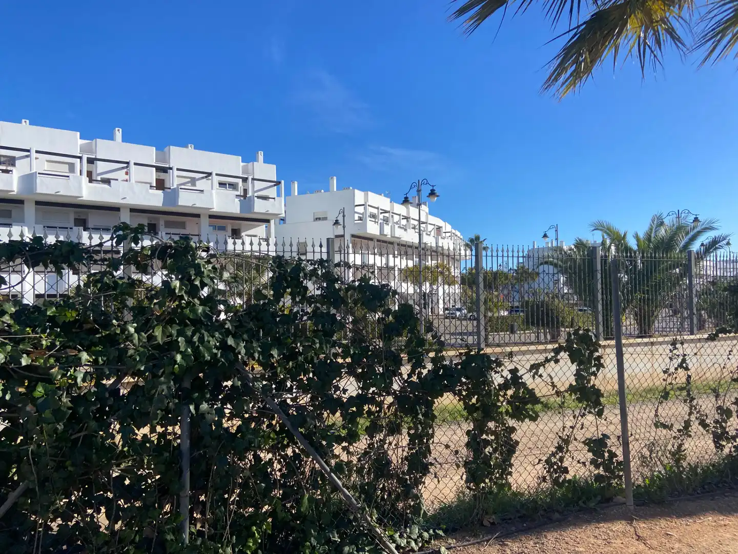 Vista exterior de Finca rústica en venda en Torre-Pacheco amb Terrassa, Piscina i Moblat