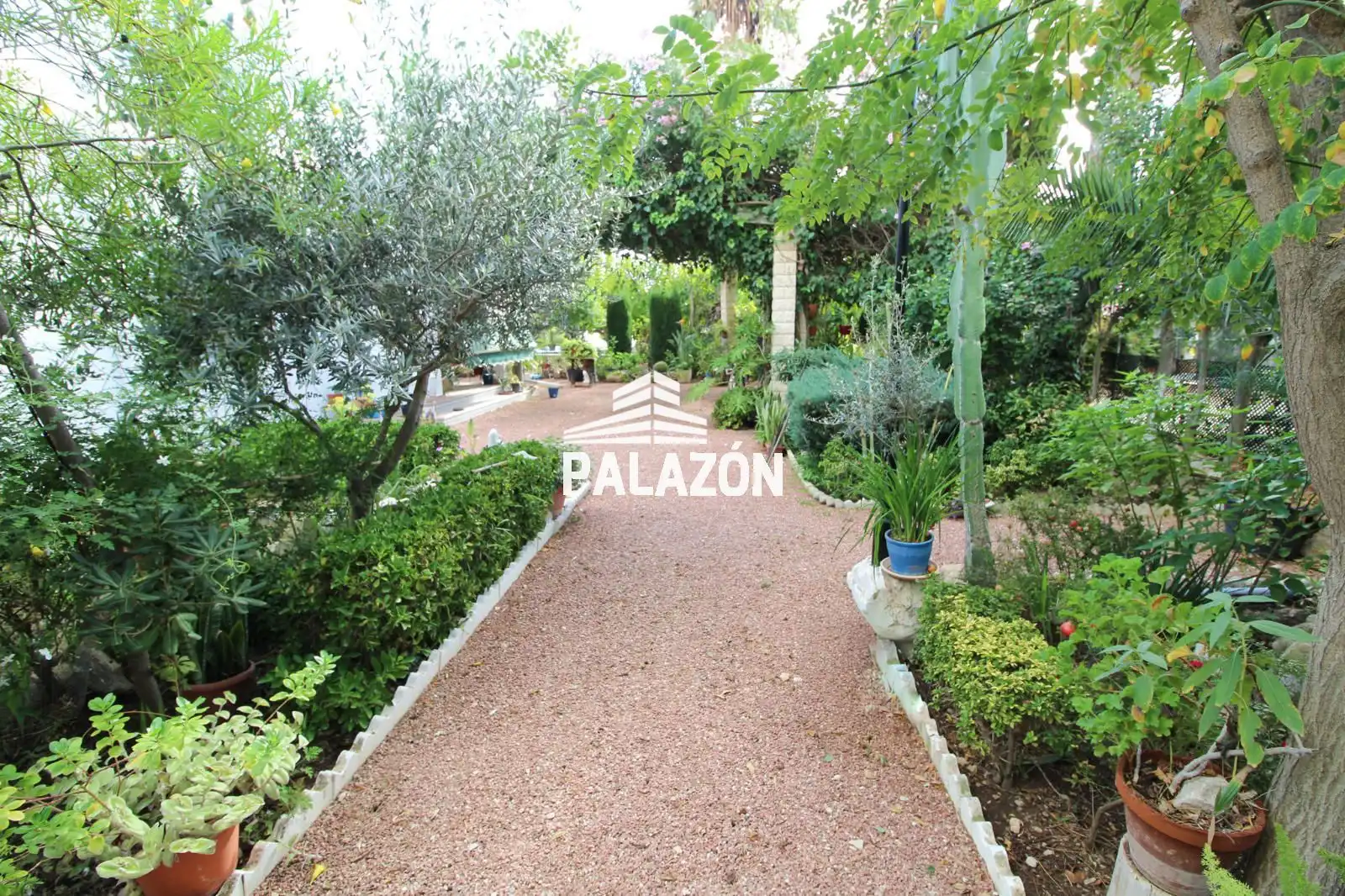 Maison rustique avec piscine à vendre à Crevillent, imagen 30
