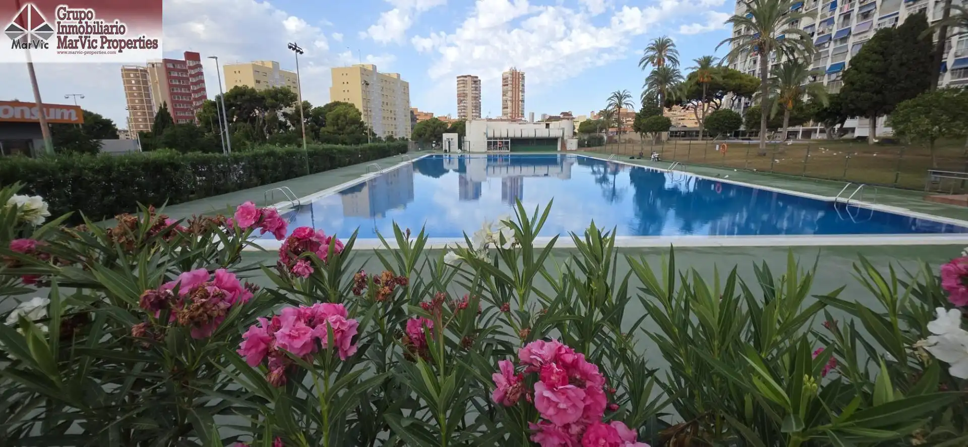 Piscina de Apartamento en venta en Benidorm con Aire acondicionado, Jardín privado y Amueblado