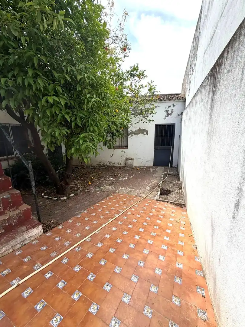 Exterior view of Houses for sale in Alcalá del Río