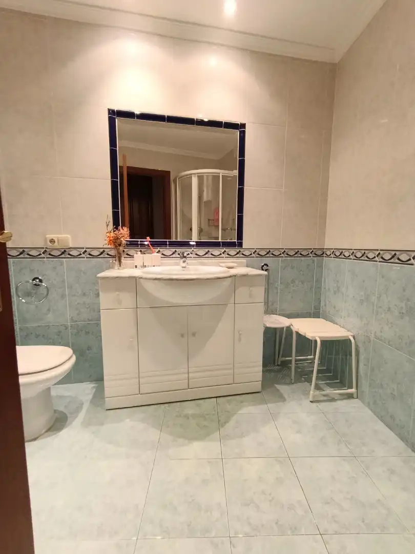 Bathroom of Flat for sale in Pontevedra Capital   with Heating, Parquet flooring and Furnished