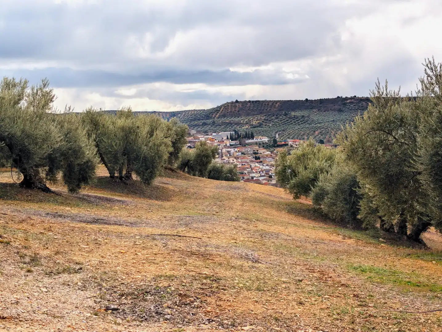 Rustikales Grundstück zum Verkauf in Camino del Vado, imagen 2
