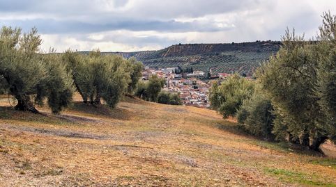 Terreno en Venta en Deifontes con proyecto de inversión, immagine 2