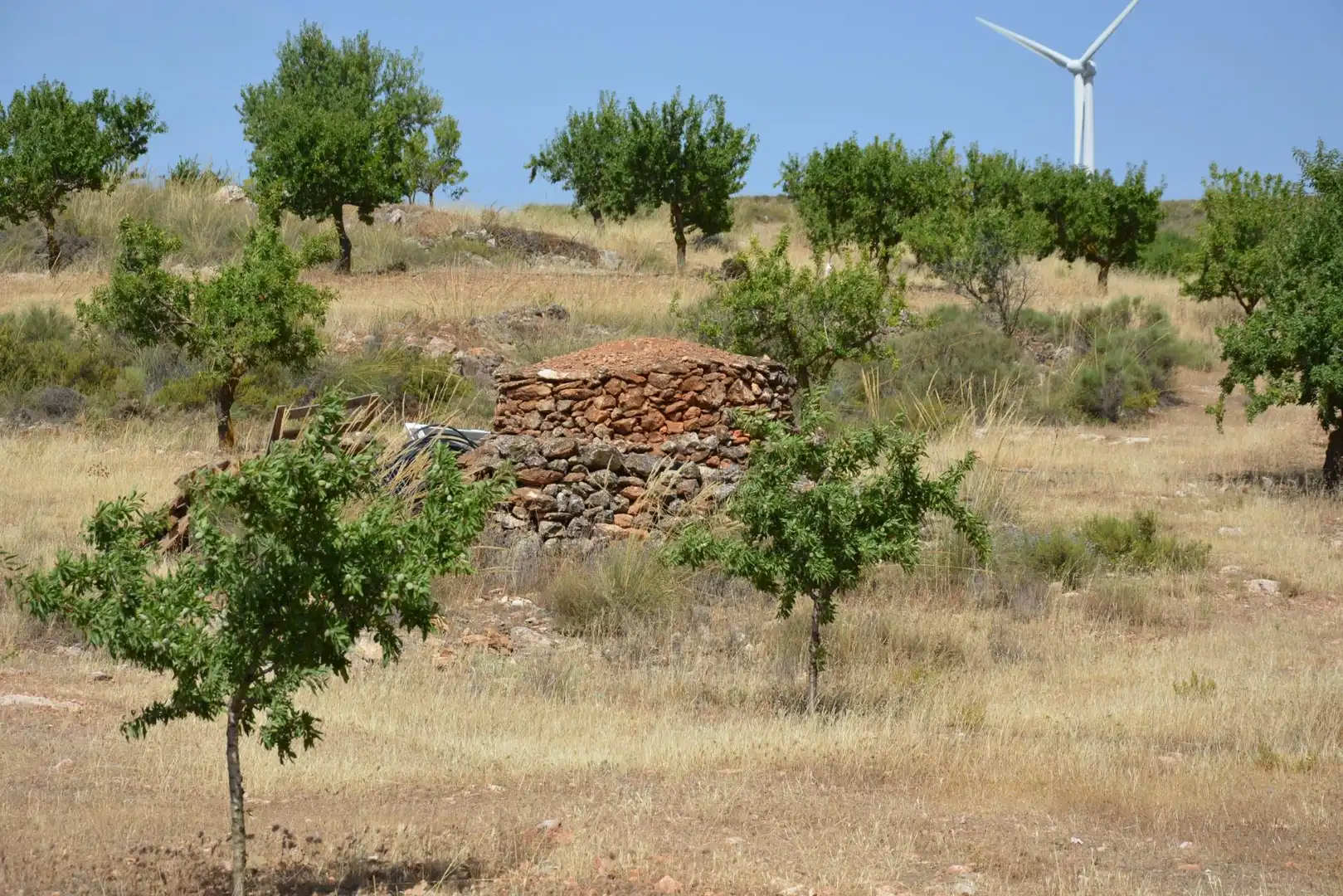 Land for sale in Padul