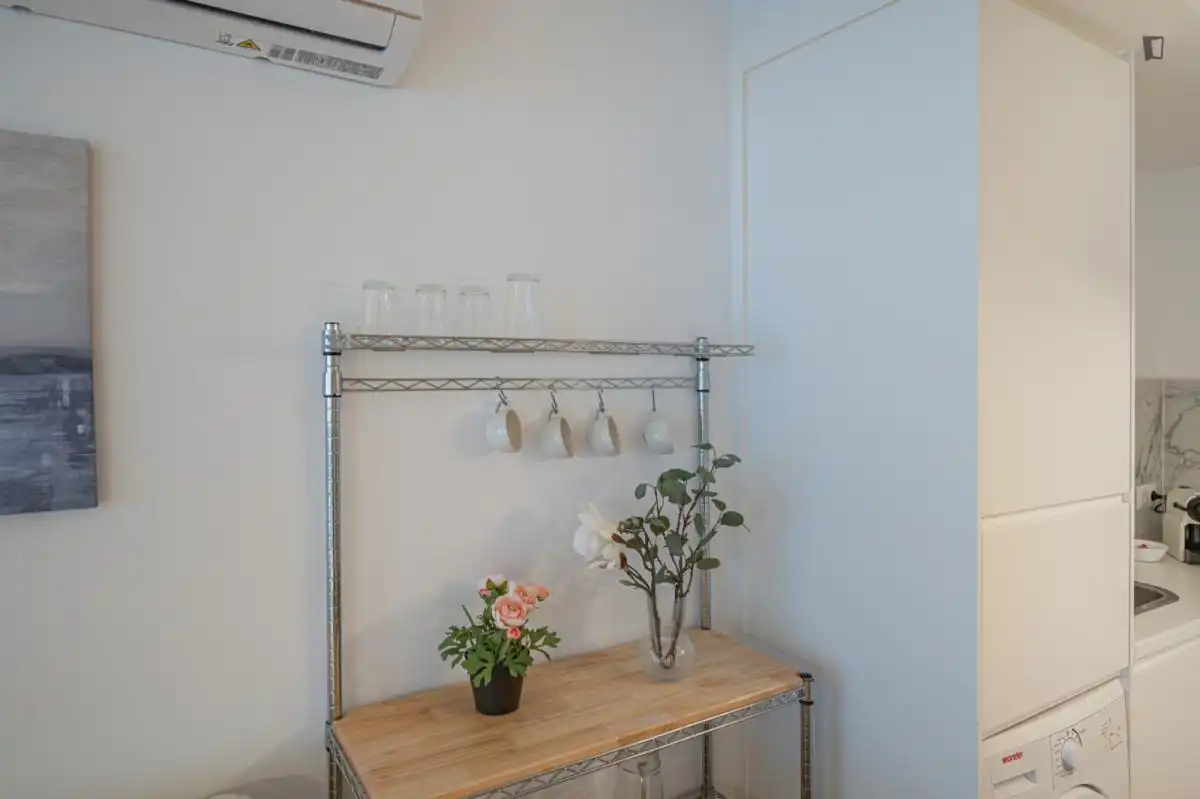 Cuina de Estudi de lloguer en Málaga amb Aire condicionat, Moblat i Forn