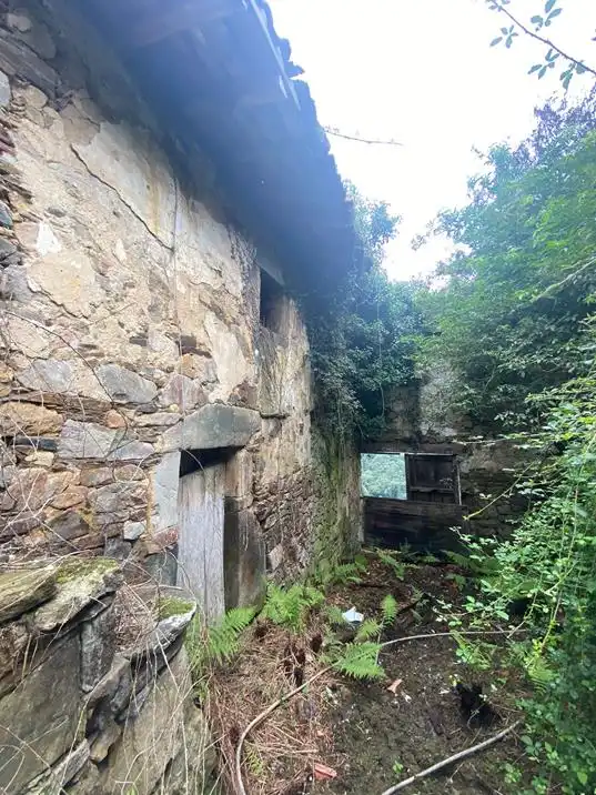Vista exterior de Finca rústica en venta en Salas