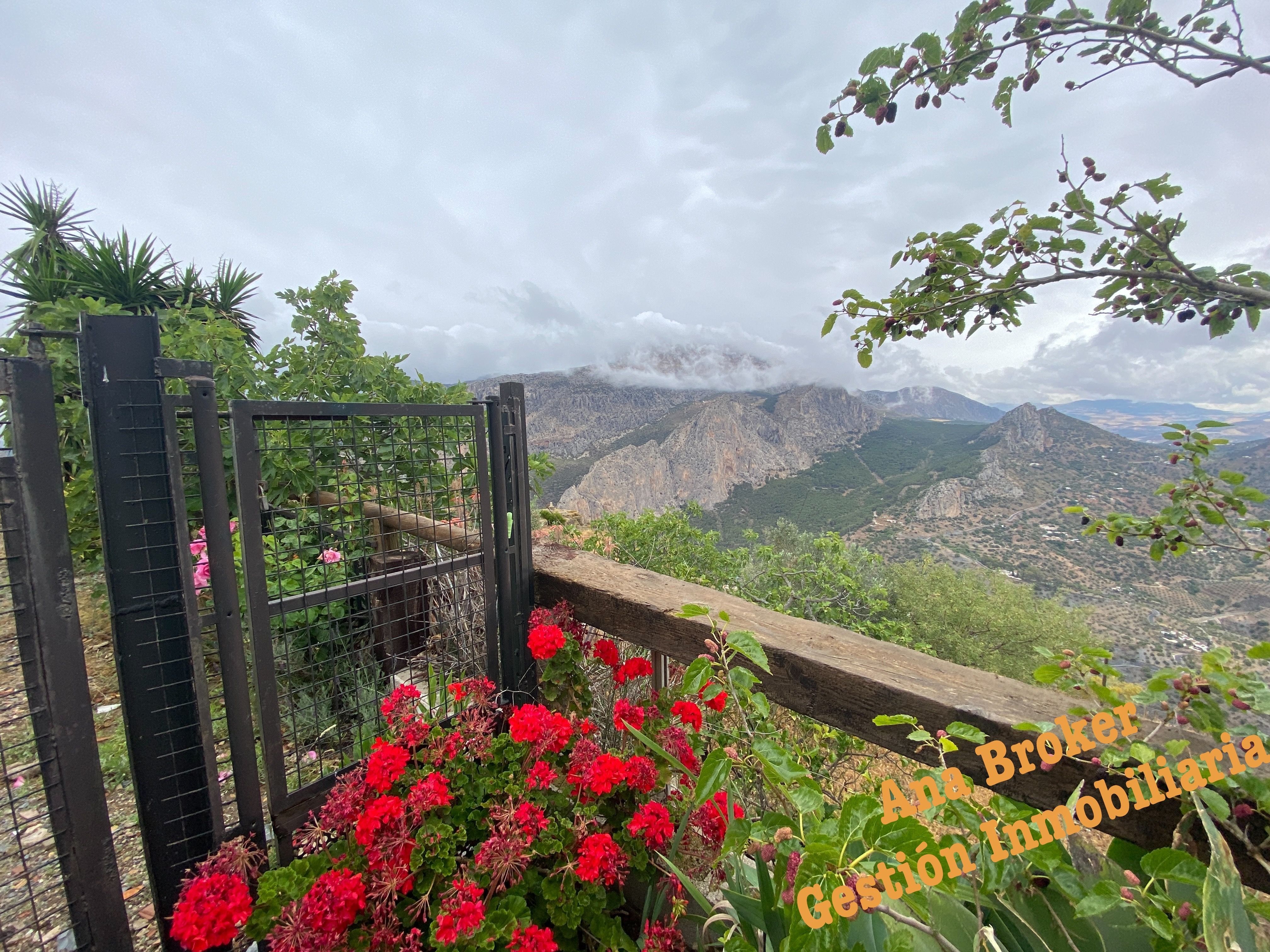 Finca rústica en venda a Álora