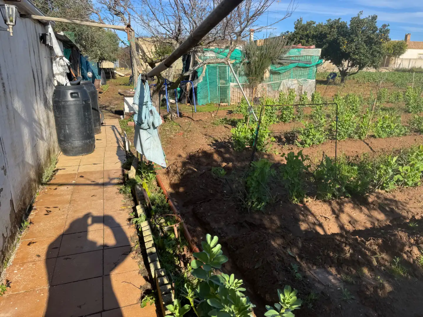Country homes for sale in Sanlúcar de Barrameda  with Private garden, Terrace and Storage room