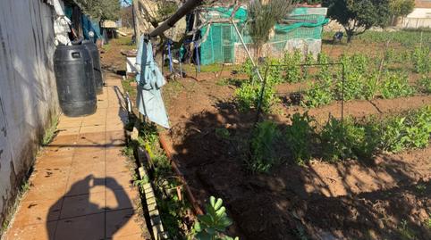 Foto 5 de Finca rústica en venda a Camino del Moral, 3, La Jara, Sanlúcar de Barrameda