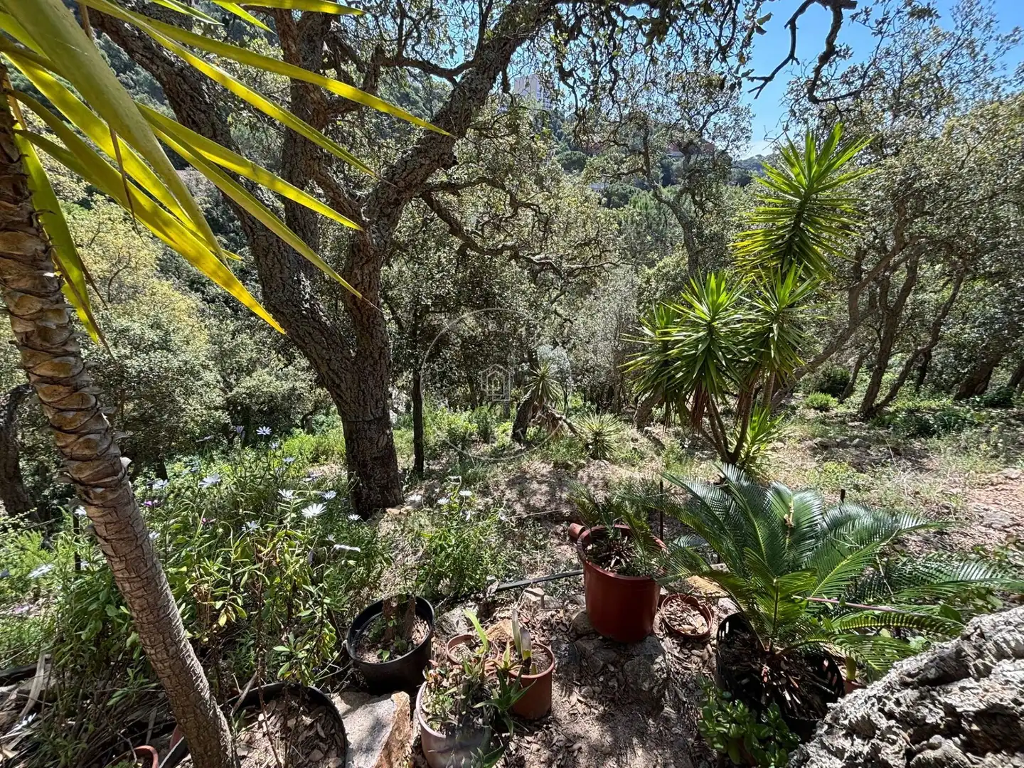 Terrenos y solares en venta en Canyelles, imagen 10
