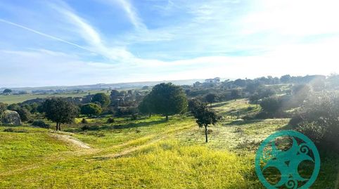Foto 3 de Terreny en venda a N/a, -1, Casar de Cáceres, Cáceres