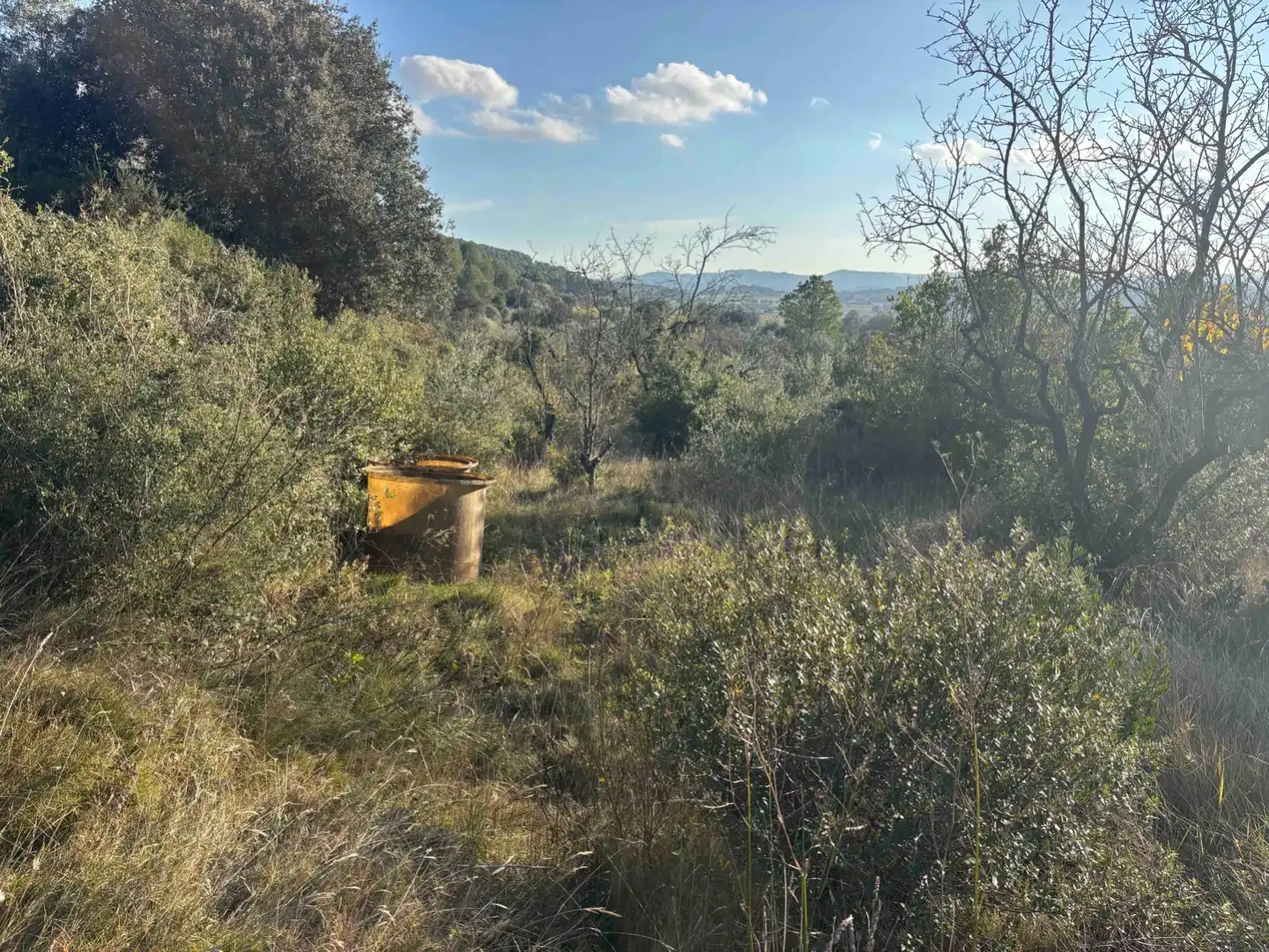 Terreny rústic en venda a Camino de Llabia a Palau S-numero, imagen 5