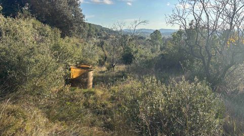 FINCA RUSTICA DE INIGUALABLE BELLEZA, immagine 5